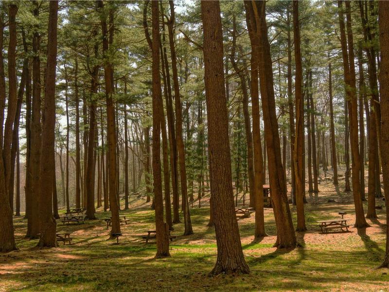 feedback screenshot 5