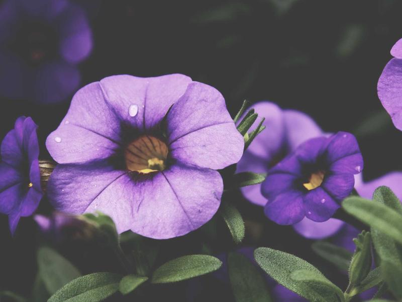 sudoku logic puzzle screenshot 4